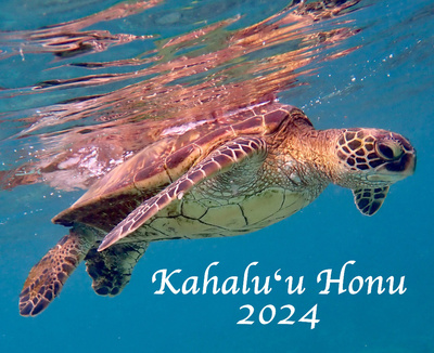 Kahaluu Honu 8x10