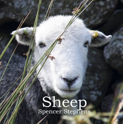 Sheep 2nd Edition
