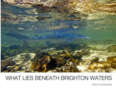 What Lies Beneath Brighton Waters